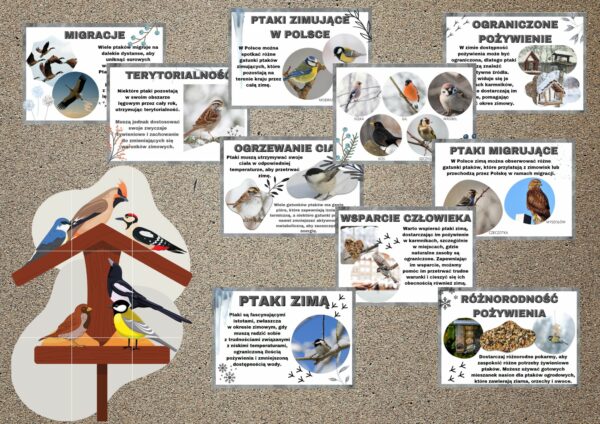 Gazetka informacyjna Ptaki zimą