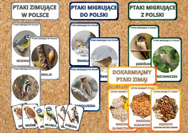 Karty demonstracyjne/Gazetka dekoracyjna Zimowe ptaki